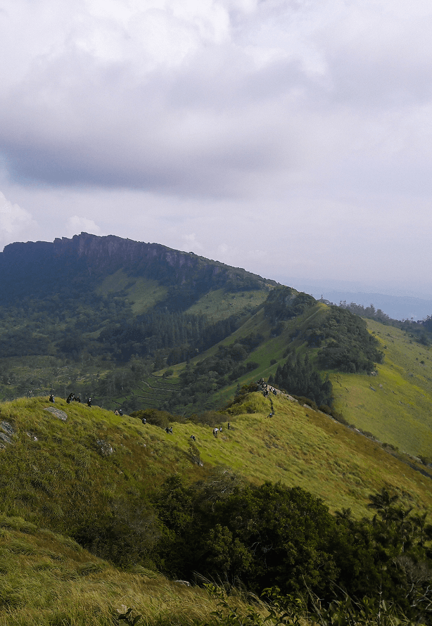 Katusu Konda Mountain